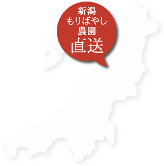日本一の米産地、新潟の農家が直接お届けするお米です。